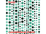 Skleněné dveře Point