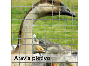 Drůbeží pletivo Aravis PVC