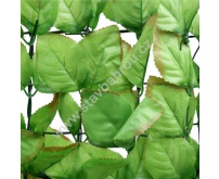Umělý živý plot Fagus - listy vejčitého tvaru výška role 1m