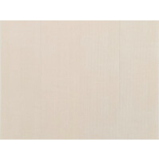 Obkladové panely do interiéru - Motivo PQ250 Classic - Velvet Lines /0,25 x 2,70 m